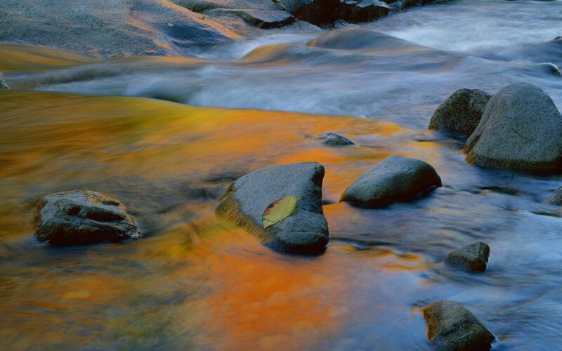 Stream with Rocks and Leaf — Orange