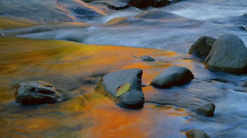 Stream with Rocks and Leaf
