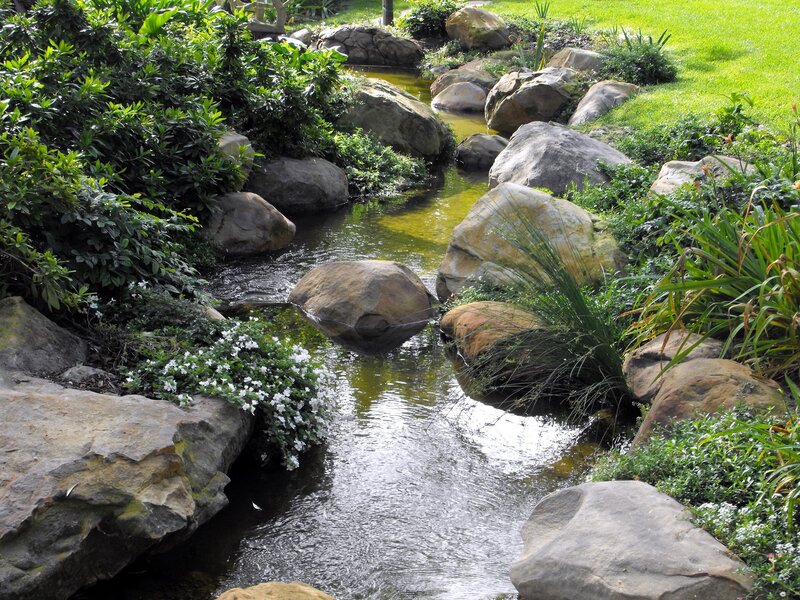 Stream with Rocks and Plants — Green, Serene