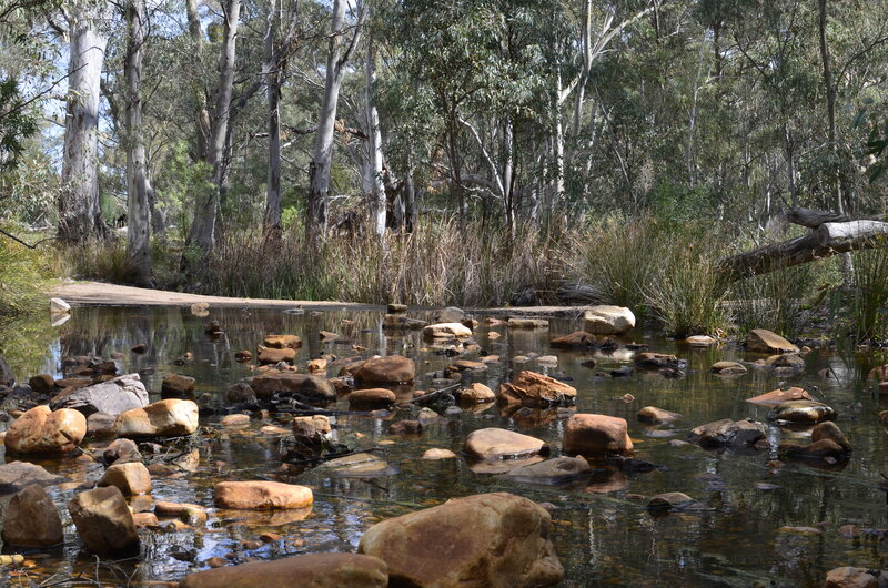 Stream with Rocks and Trees