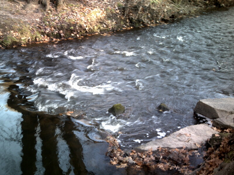 Stream with Rocks — Brown, Calm
