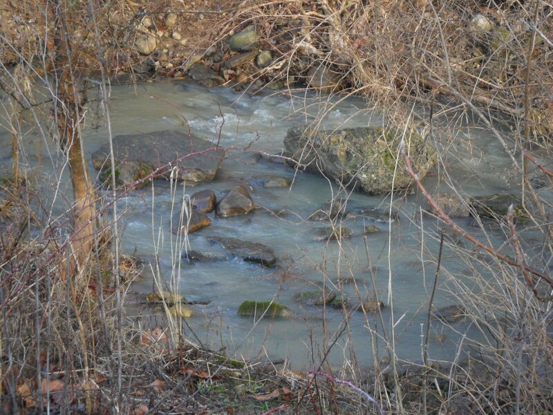 Stream with Rocks — Brown