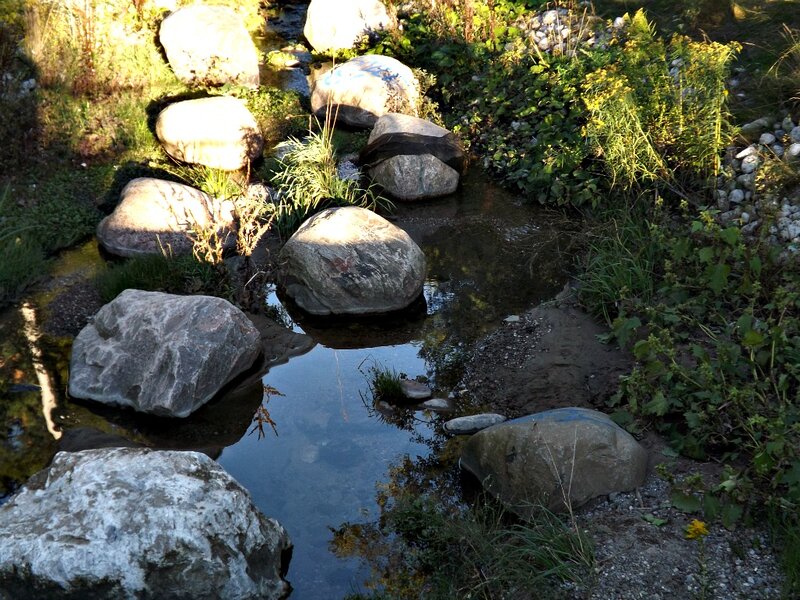 Stream with Rocks — Green, Serene, Afternoon