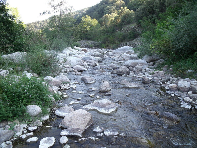 Stream with Rocks — Green, Serene