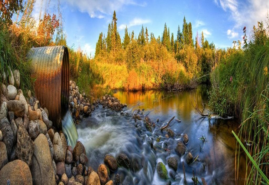 Stream with Rusty Pipe