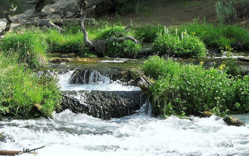Stream with Small Waterfall — Green, Serene, Afternoon, Photograph, Grass