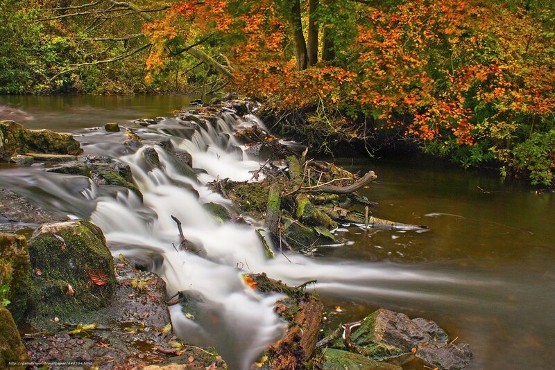 Stream with Small Waterfall — Green, Serene, Autumn, Photograph