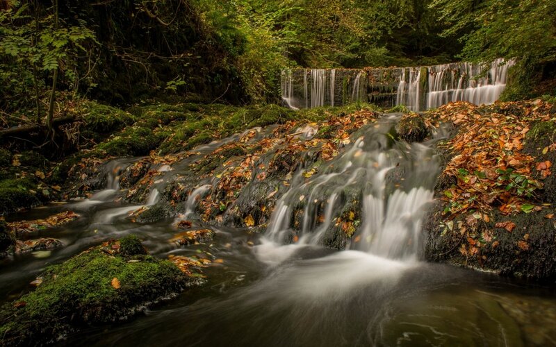Stream with Small Waterfall — Green, Serene, Autumn