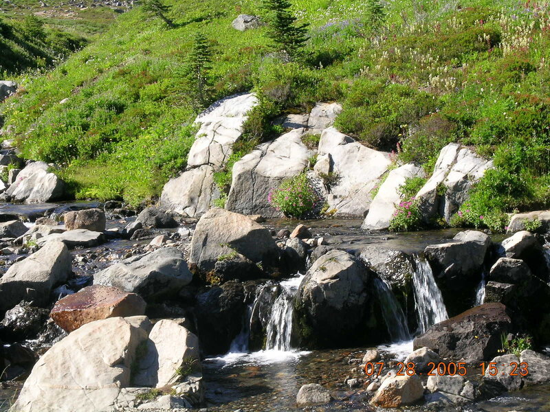 Stream with small waterfall