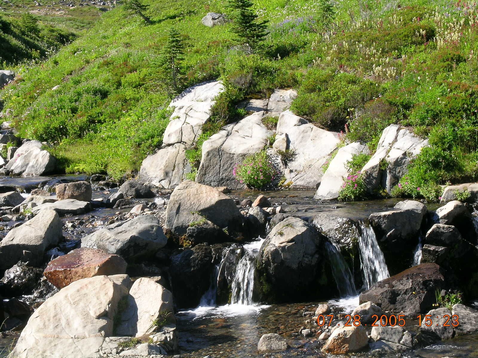 Stream with small waterfall