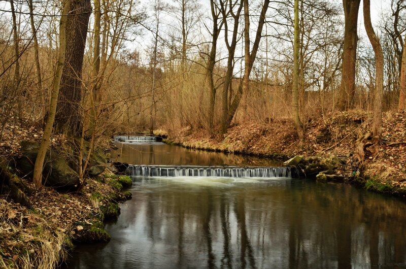 Stream with Small Waterfalls — Brown