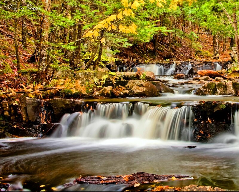 Stream with Small Waterfalls — Green, Serene, Autumn