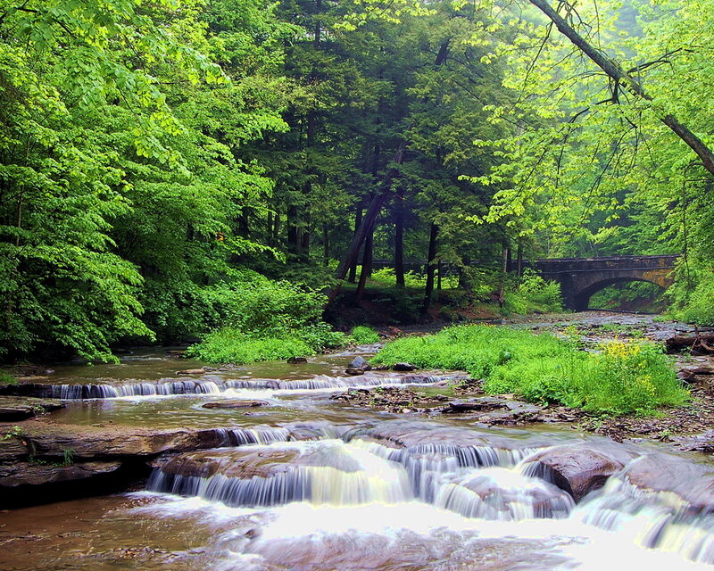 Stream with Small Waterfalls — Green, Serene, Spring, Photograph