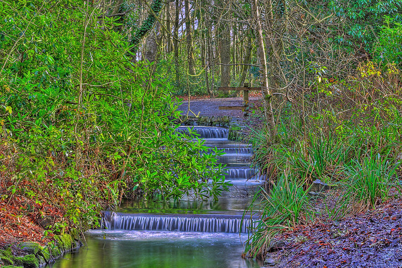 Stream with Small Waterfalls — Green, Serene