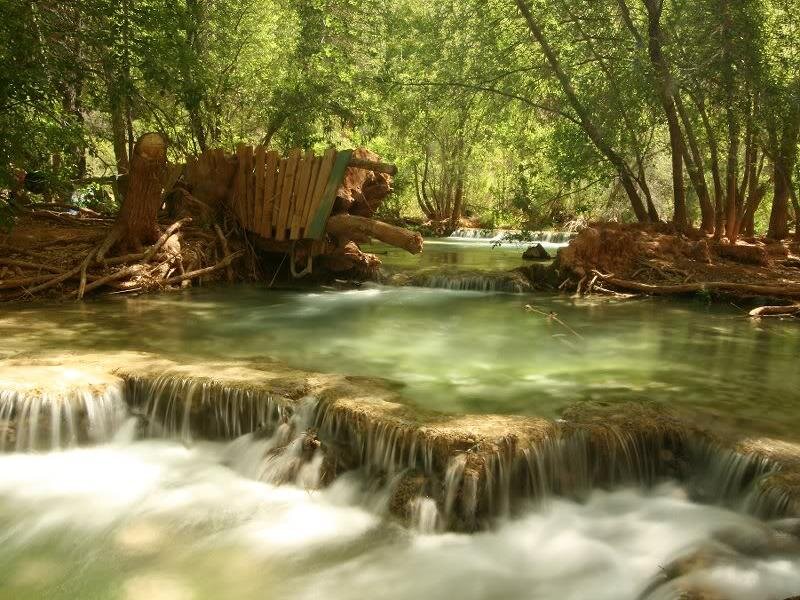 Stream with Small Waterfalls — Green