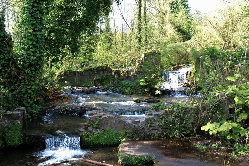 Stream with small waterfalls
