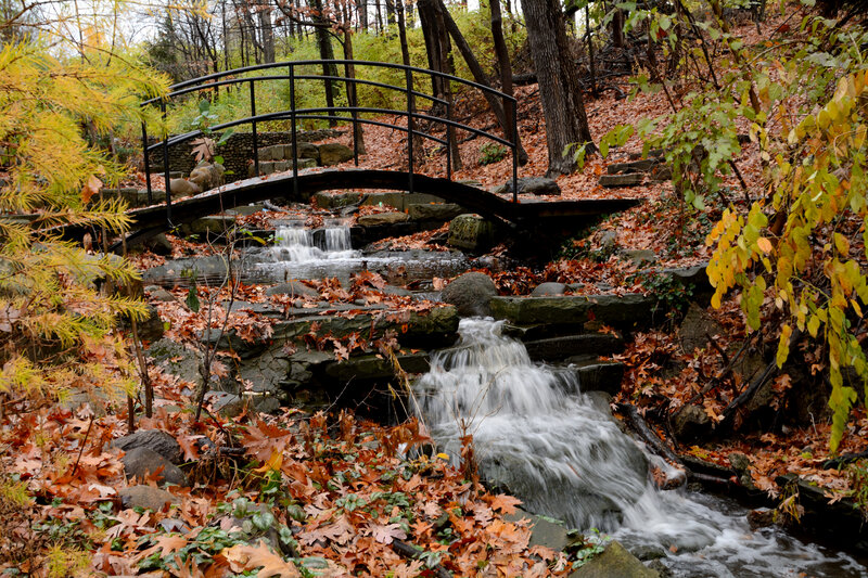 Stream with Stone Bridge — Brown