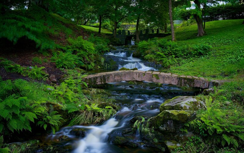 Stream with Stone Bridge — Green, Serene