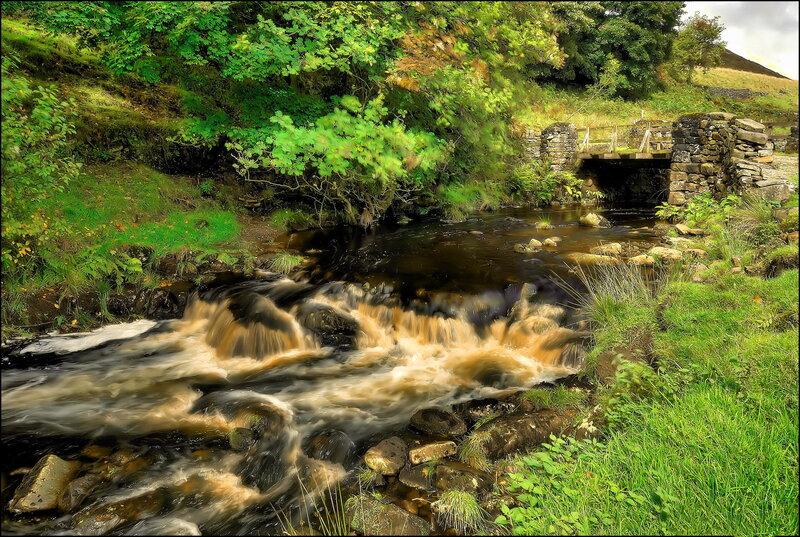 Stream with Stone Bridge — Green