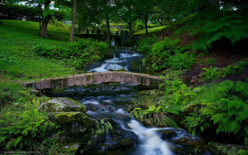 Stream with Stone Bridges — Green