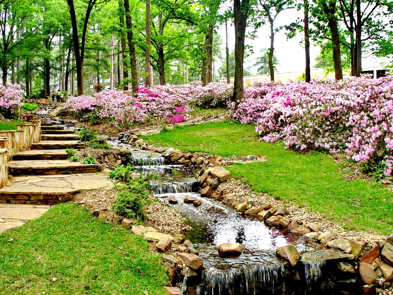Stream with Stone Steps — Green