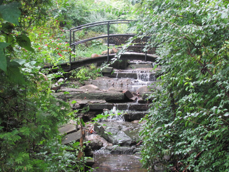 Stream with Stone Steps