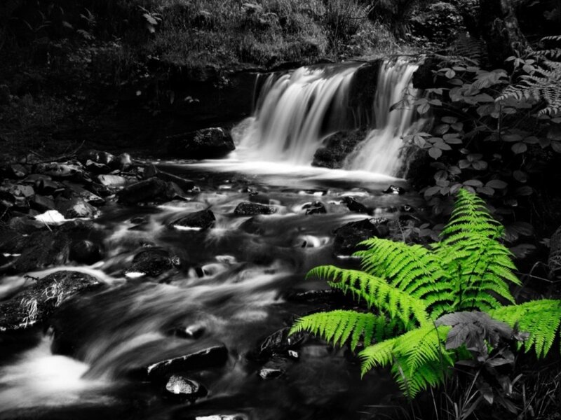 Stream with Waterfall — Black, Serene