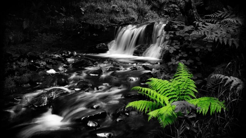 Stream with Waterfall — Black