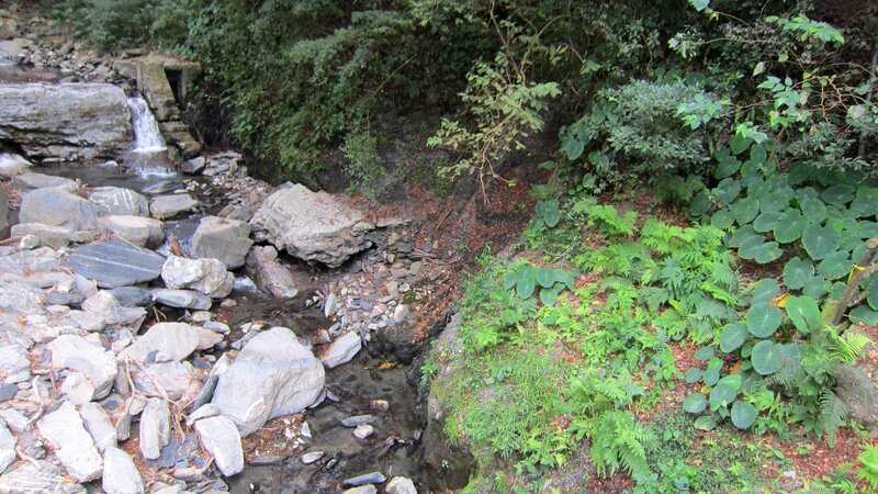 Stream with Waterfall — Green, Natural