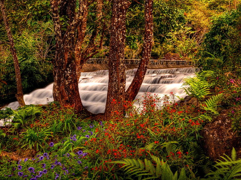 Stream with Waterfall — Green, Serene, Afternoon, Photograph