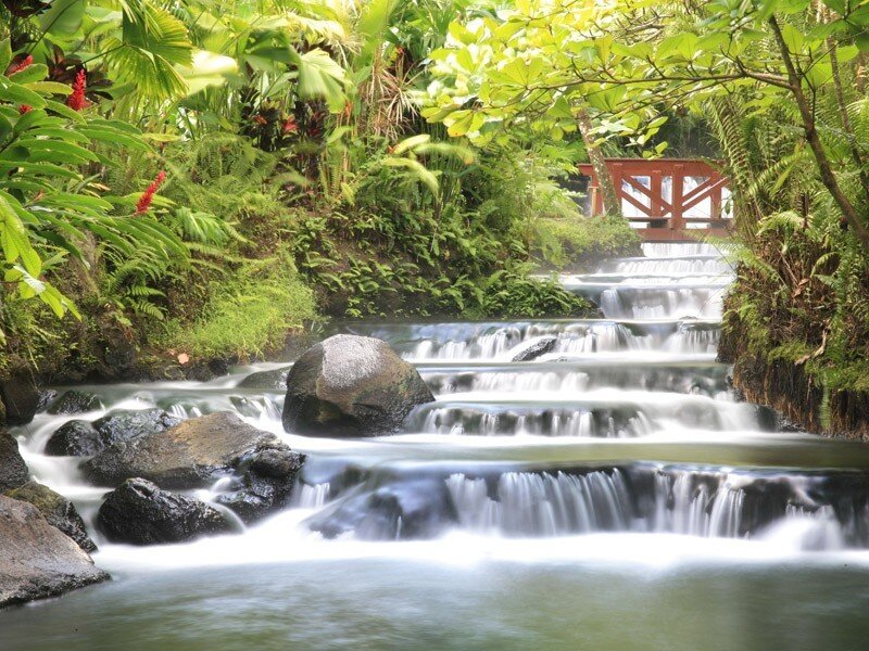 Stream with Waterfall — Green, Serene, Afternoon