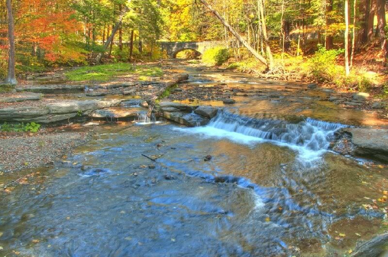 Stream with Waterfall — Green, Serene, Autumn, Photograph