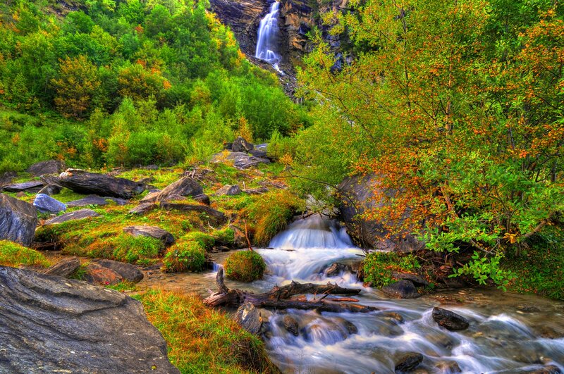 Stream with Waterfall — Green, Serene, Autumn, Photograph, Trees, Rocks