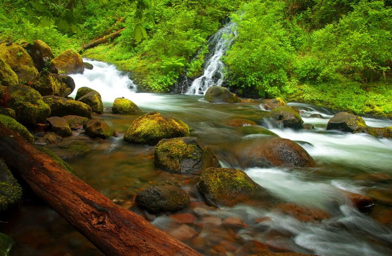 Stream with Waterfall — Green, Serene, Photograph