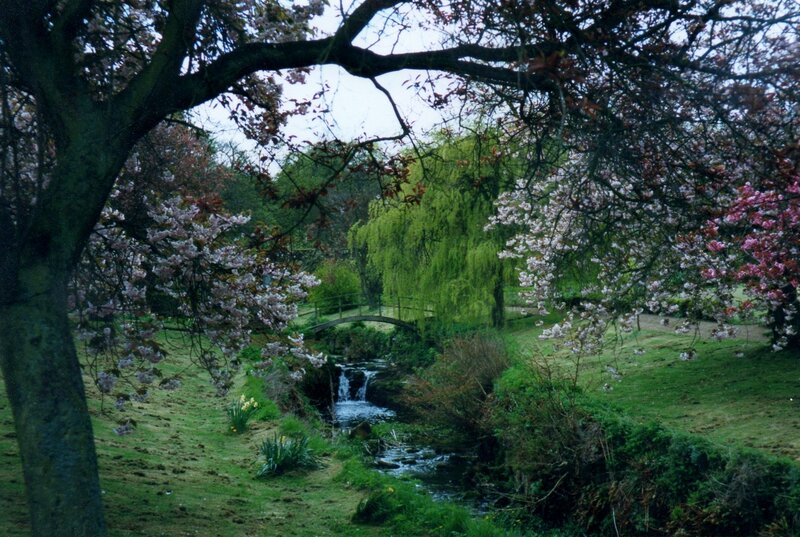 Stream with Waterfall — Green, Serene, Spring, Photograph