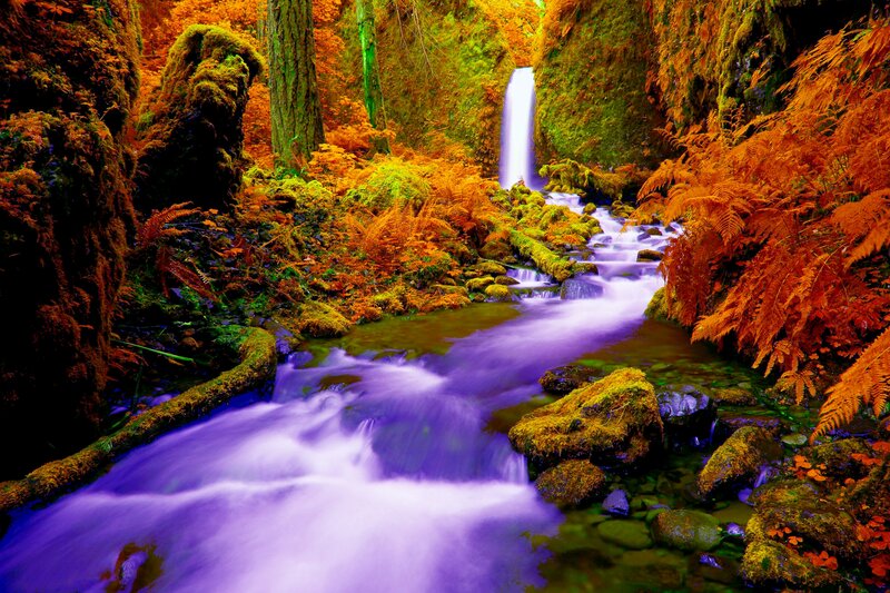 Stream with Waterfall — Purple