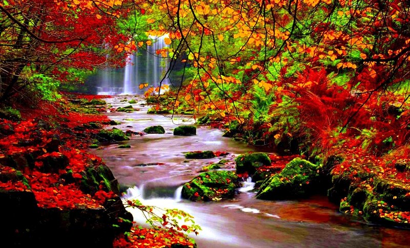 Stream with Waterfall — Red, Serene, Autumn, Photograph, Fallen Leaves, Mossy Rocks