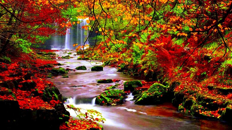 Stream with Waterfall — Red, Serene, Autumn, Photograph, Fallen Leaves