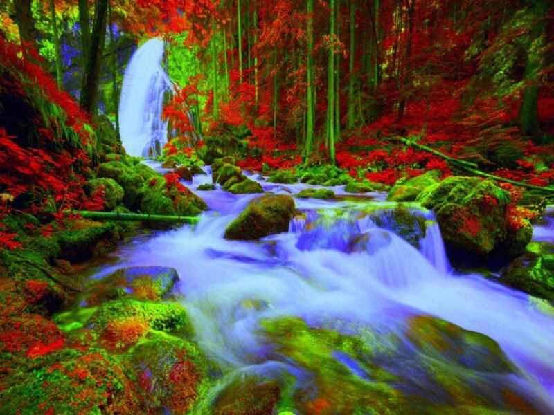 Stream with Waterfall — Red, Serene, Autumn, Photograph
