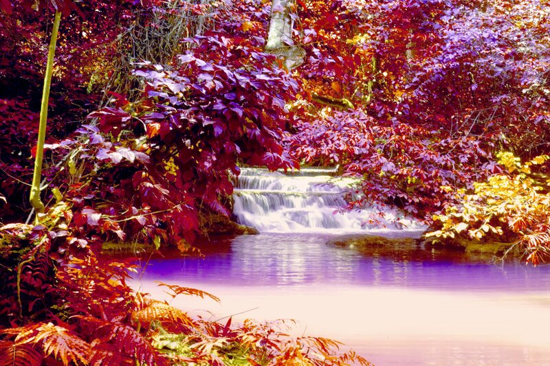 Stream with Waterfall — Red, Serene, Autumn, Photograph, Trees