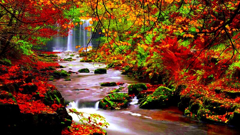Stream with Waterfall — Red