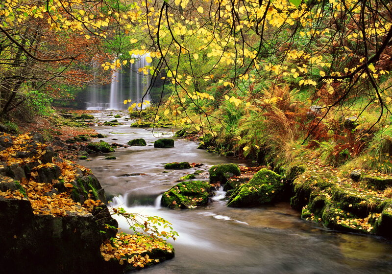 Stream with Waterfall — Yellow, Serene