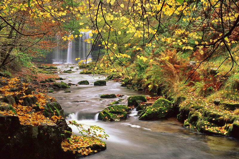 Stream with Waterfall — Yellow