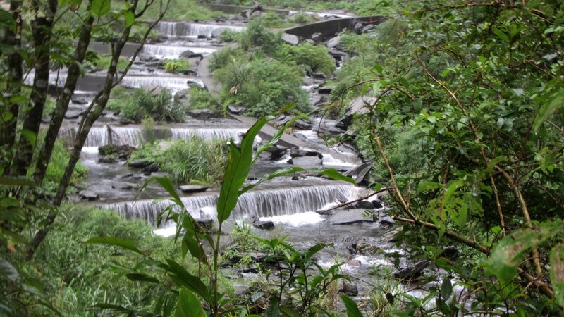 Stream with Waterfalls — Green, Natural