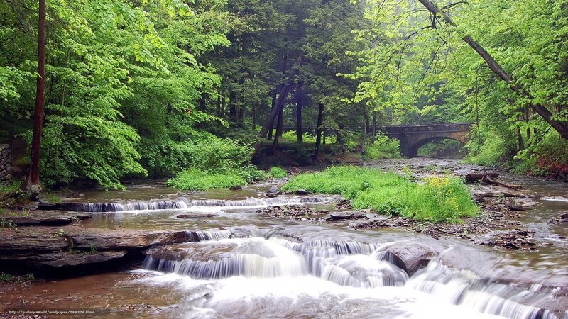 Stream with Waterfalls — Green, Serene, Spring