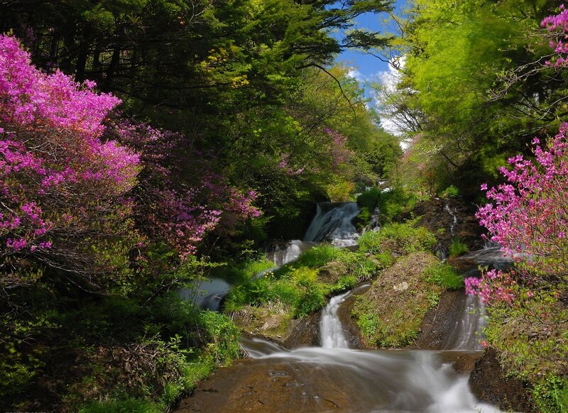 Stream with Waterfalls — Green, Serene