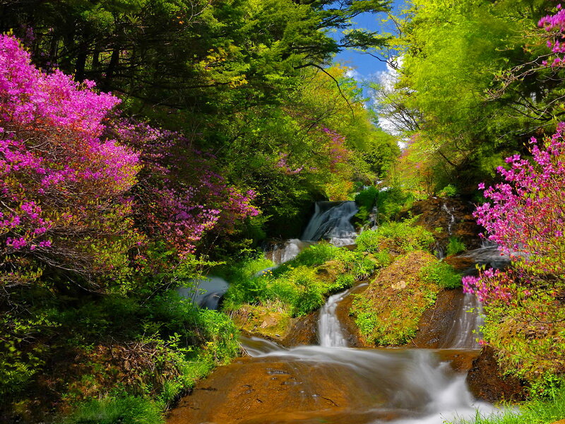 Stream with Waterfalls — Green