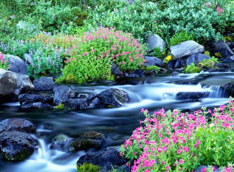 Stream with Wildflowers — Green