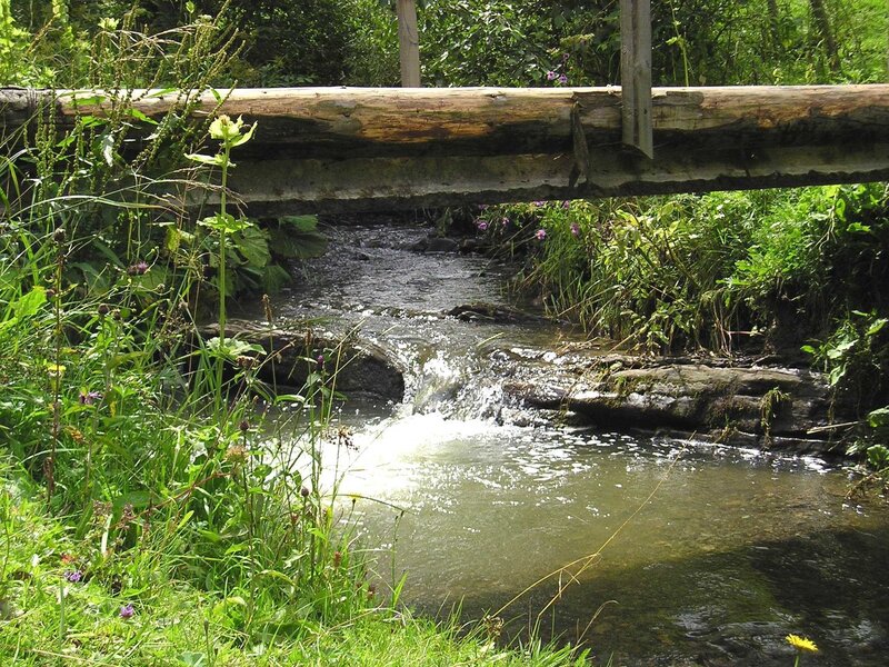 Stream with wooden bridge