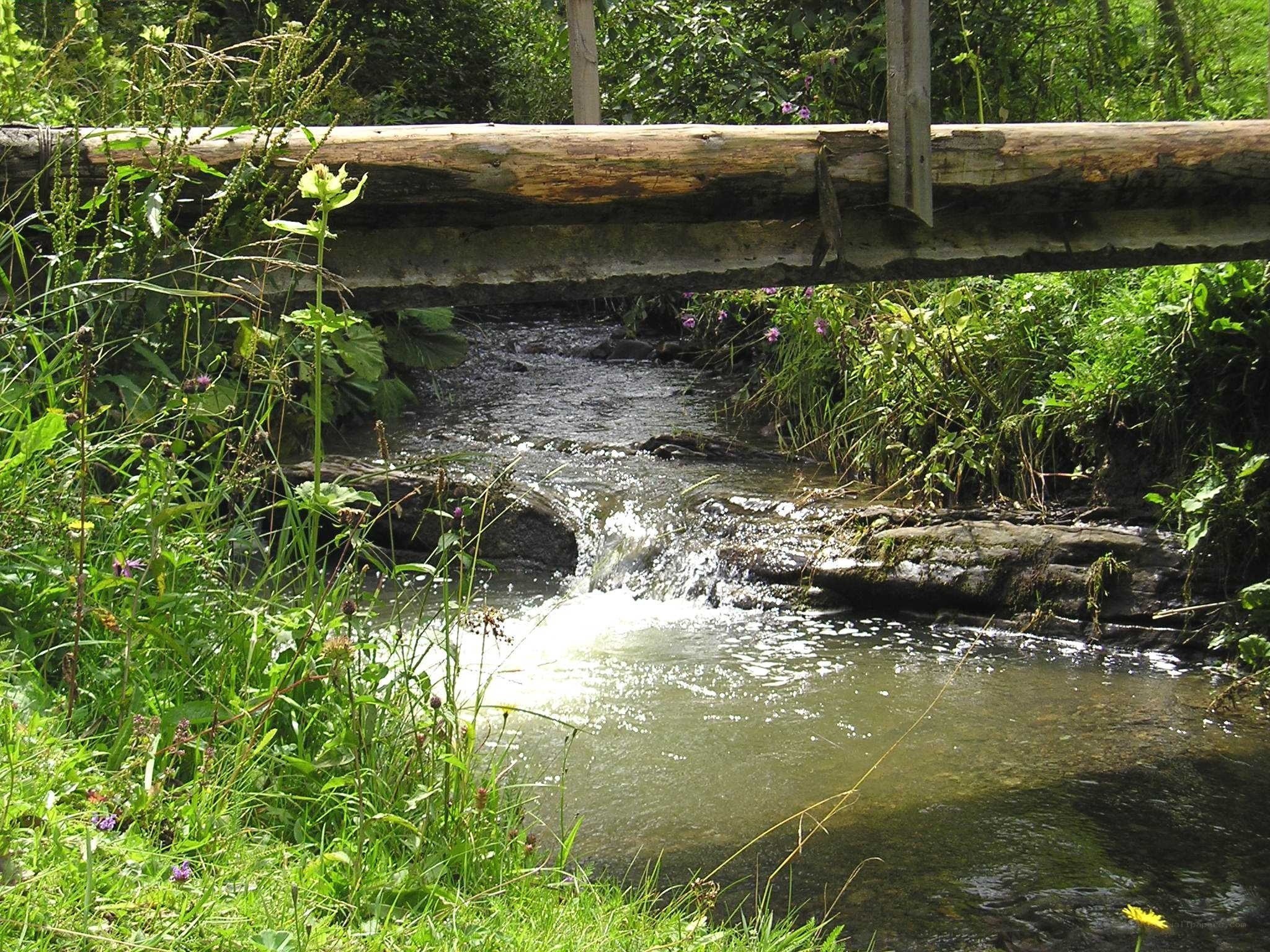 Stream with wooden bridge
